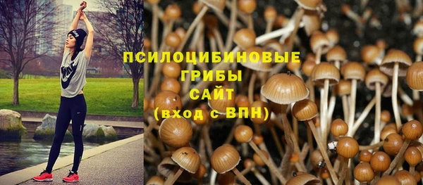 трава Дмитриев